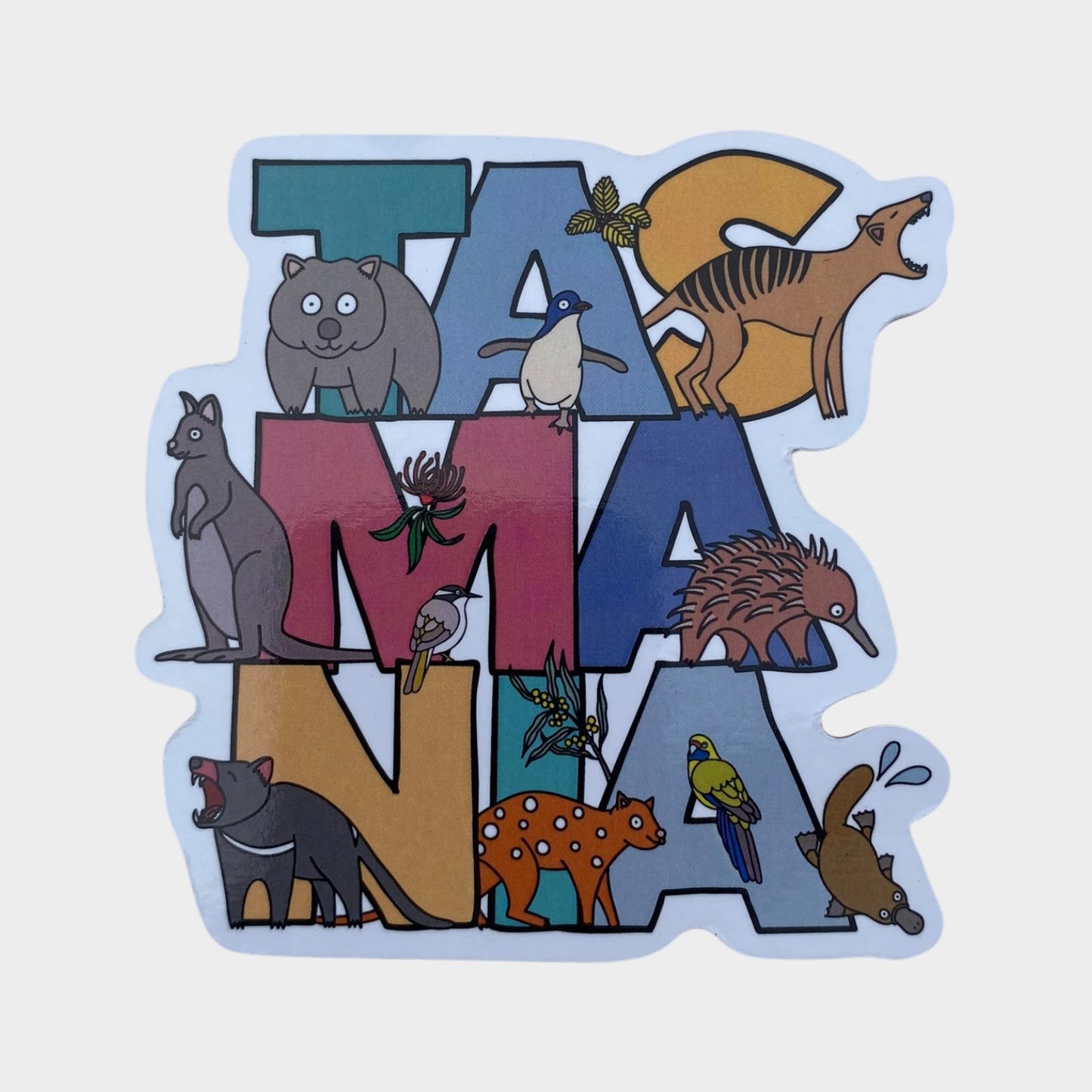 Tasmania Magnet